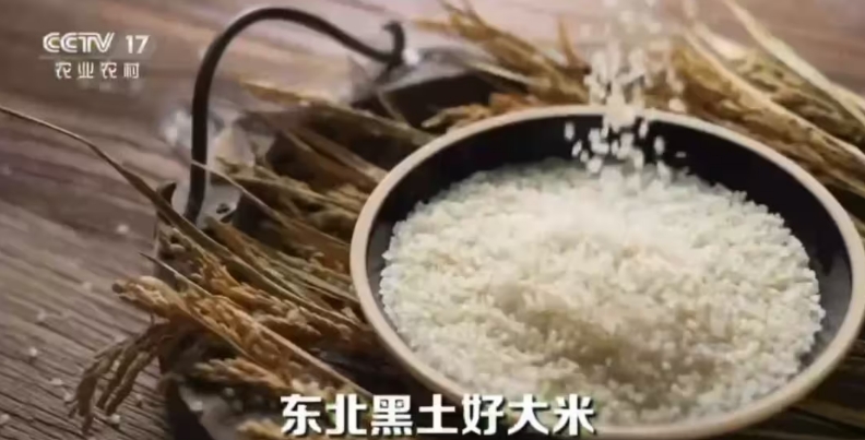央视1.png