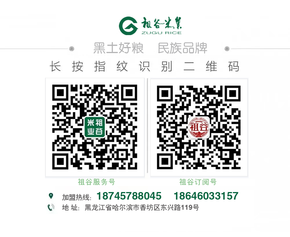 最新公众号底图.jpg