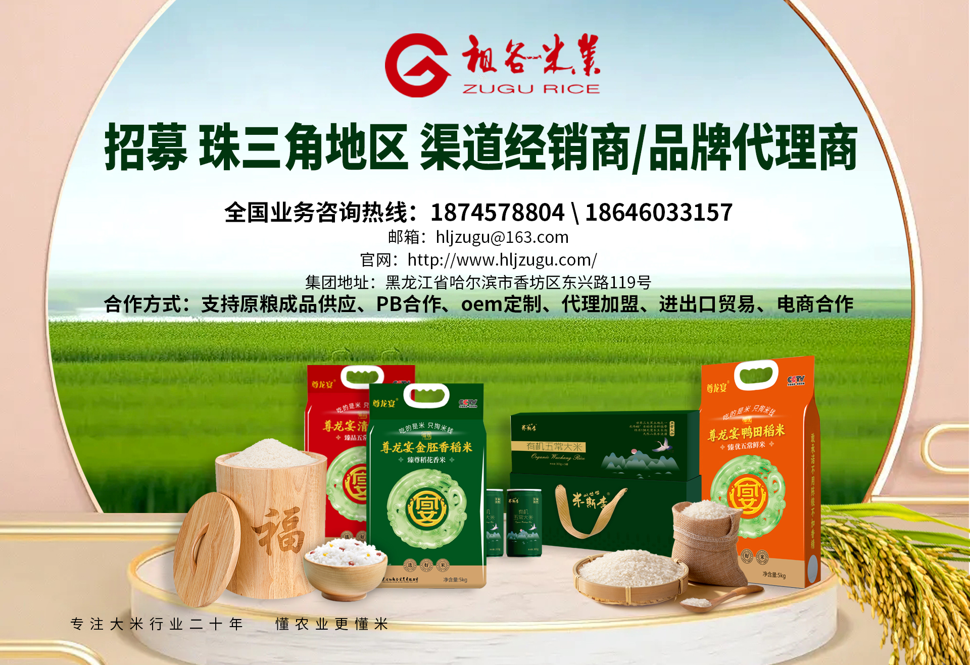 招募珠三角地区经销商.jpg