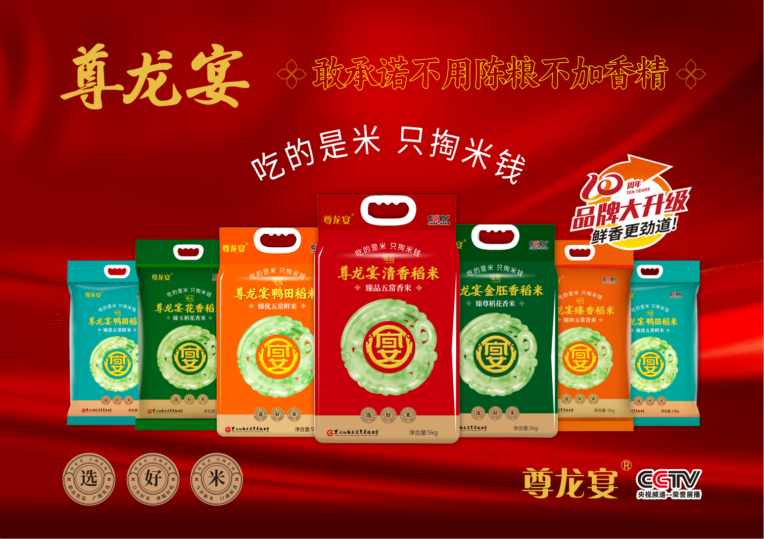 玉龙.png