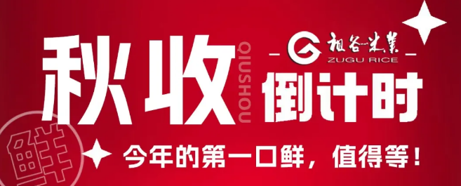 新粮上市倒计时11111.png